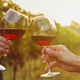 Illustration for article titled France scraps Dry January campaign after alleged pressure from winemakers